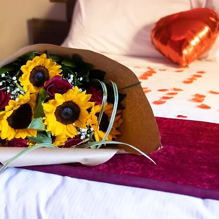 クレオパトラ ゲストハウス 3*