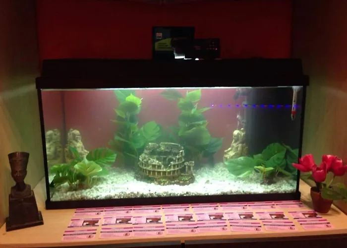 Vendégház Cleopatra 3*